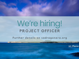 [Application period closed] Project Officer 