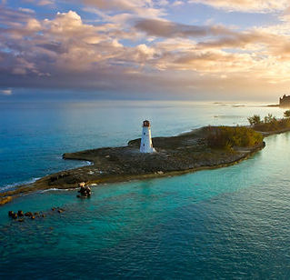 Flying Seahorse Sets Sail for Paradise: Nassau Inflight Catering Gets a Michelin Star Upgrade!