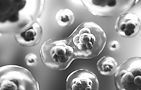 Stem cells _edited.jpg
