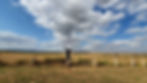 homem no campo no interior de Goiás