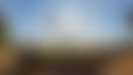 Eu decido os meus sucessos e fracassos