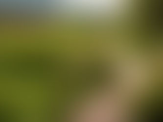 Sonhos não me movem mais (poema)