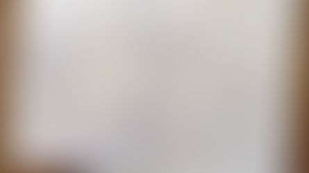 Ao mestre Julio Ribeiro, com carinho