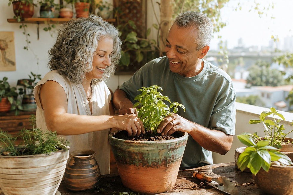 Casal sorridente cuidando juntos de uma planta de manjericão em um vaso de barro na varanda.