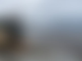 A minha experiência com o luto ou Os 7 primeiros meses sem Ela
