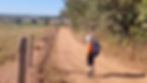 Caminho de Cora Coralina - cerrado - interior de Goiás