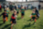 Mini's Jamboree