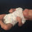 Thumbnail: Baby Jaxson Michael - Levi by Bonnie Brown