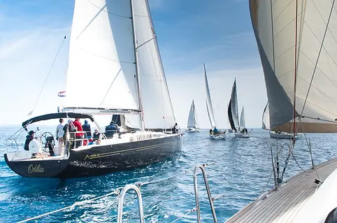 Das Spiel mit den Leinen (3 von 20).webp