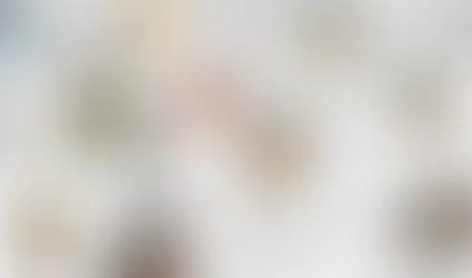 Değerler Çöktüğünde Toplum Nasıl Dağılır? Gücün Hukukun Yerine Geçtiği Karanlık Eşik