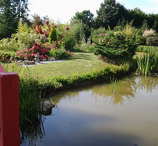 20150626_094720.jpg