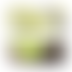 Wrap de couve e cogumelos | Cozinha em Casa