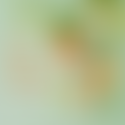 Desperdício Alimentar não está na nossa lista