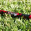 Miniatura: SFWW Custom Surf Fishing Rods for Casting (LBSF)
