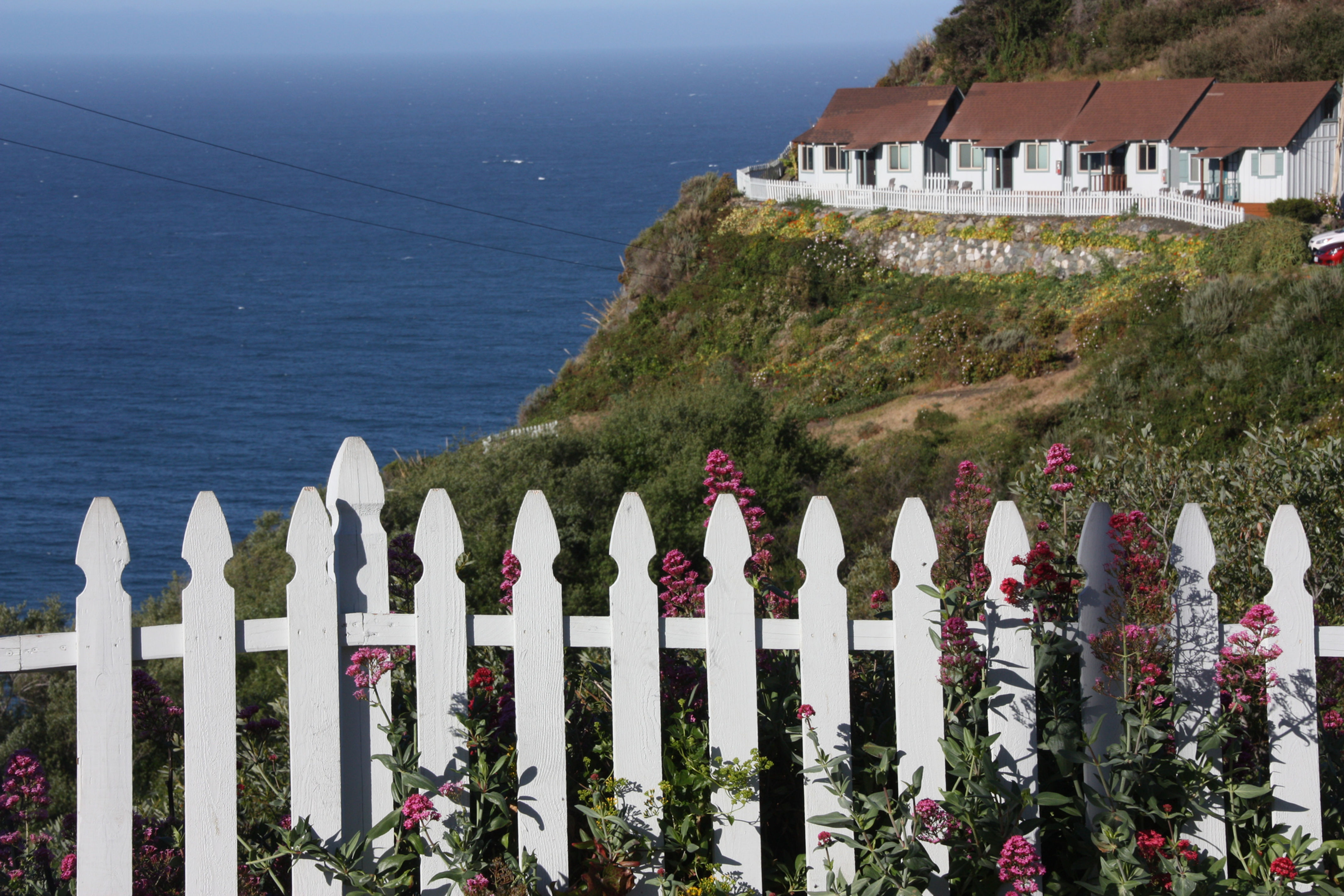 Wicked Picket Fence View