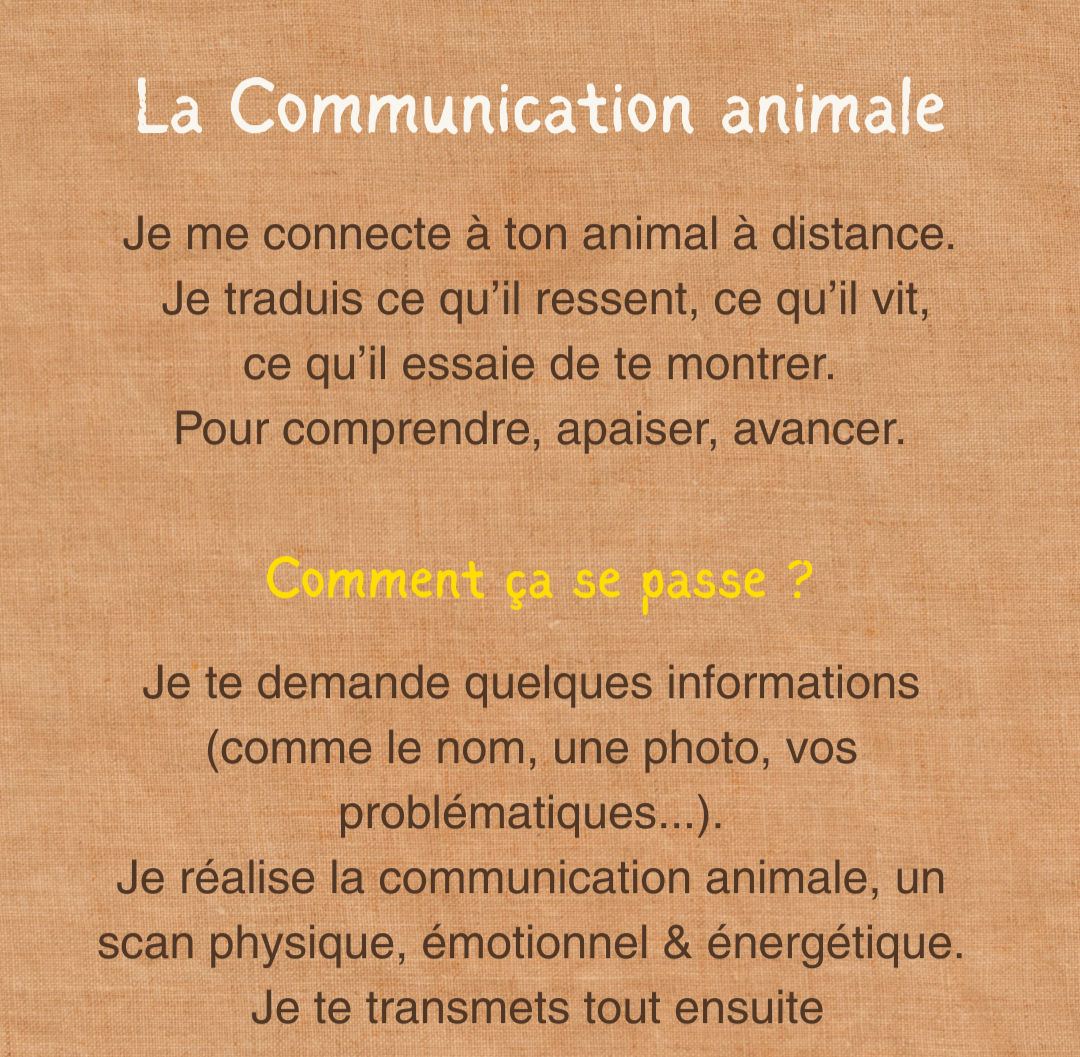 Communication animale