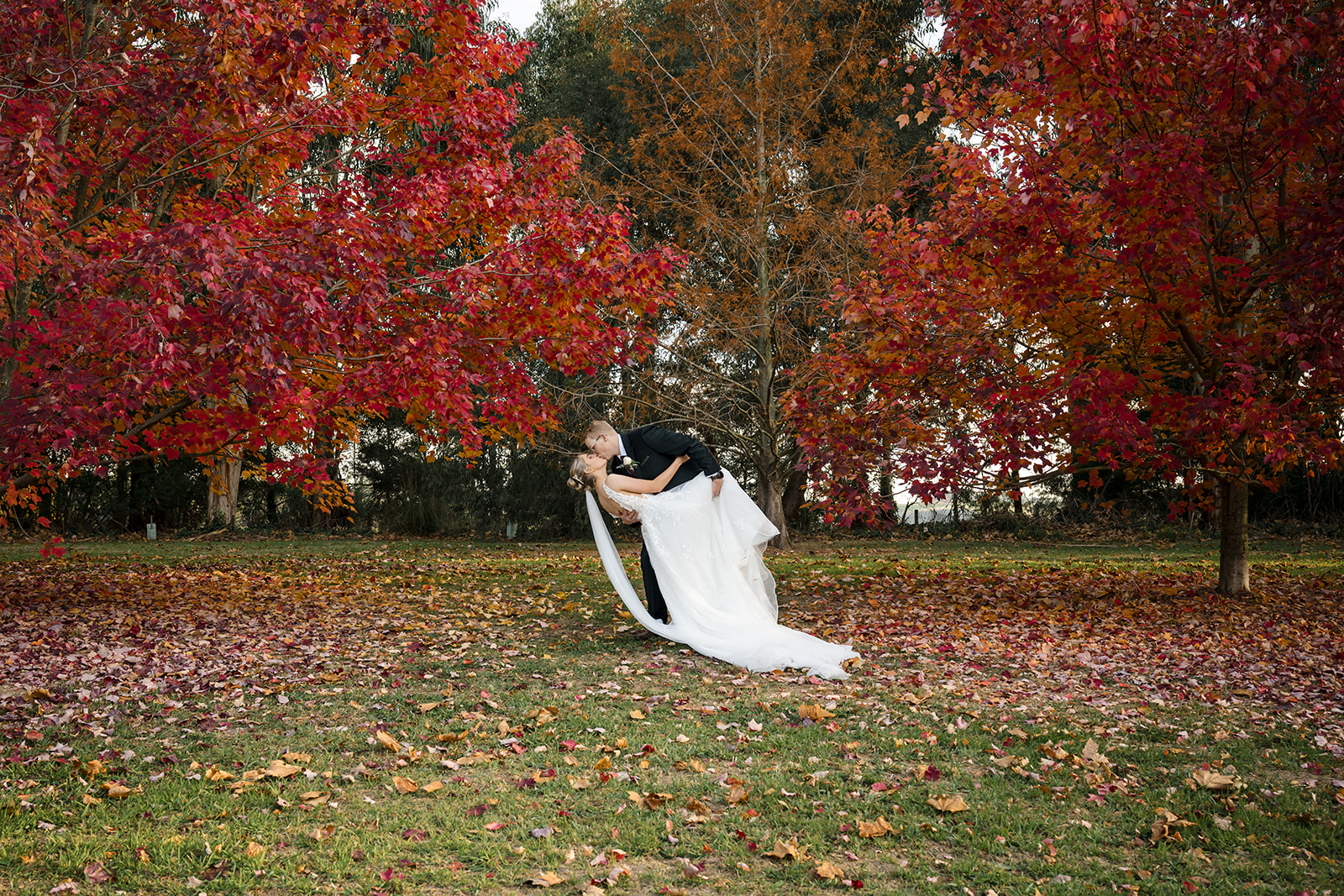 Rebecca Farley Photography — photo 10 of 18
