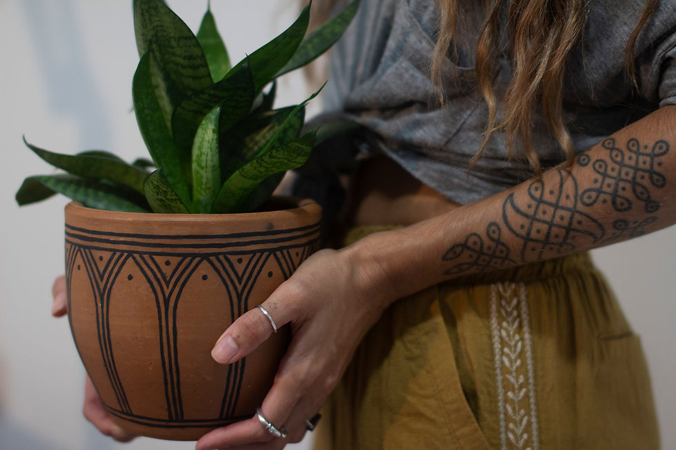 Miniatura: vaso paraíso