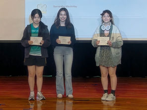 Secondary Bronze and Silver Award Winners