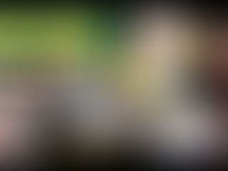 Save the Date - PA Annual General Meeting (Election) - Monday, 24 November 