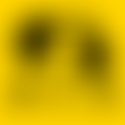 2026 Student Photography Packages – Techni Photo