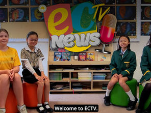Primary Environmental Committee PSA Series: How to Recycle
