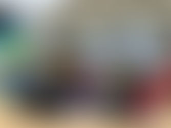 Year 3 Explore Animal Life at Ocean Park