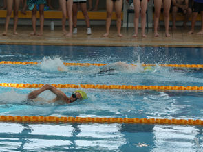 Year 6 Swimming Gala