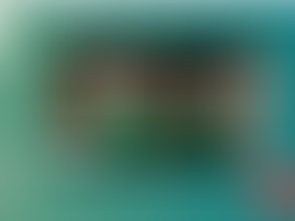 Primary LEC Video Series 2025 