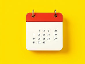 Term 3 Conclusion & Term 4 Commencement