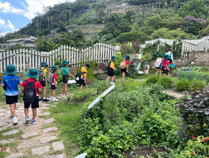 Year 2 Explores Nature at Kadoorie Farm