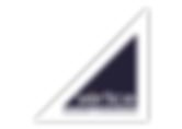 LOGO VERTICE-01.png