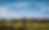 background mt.png