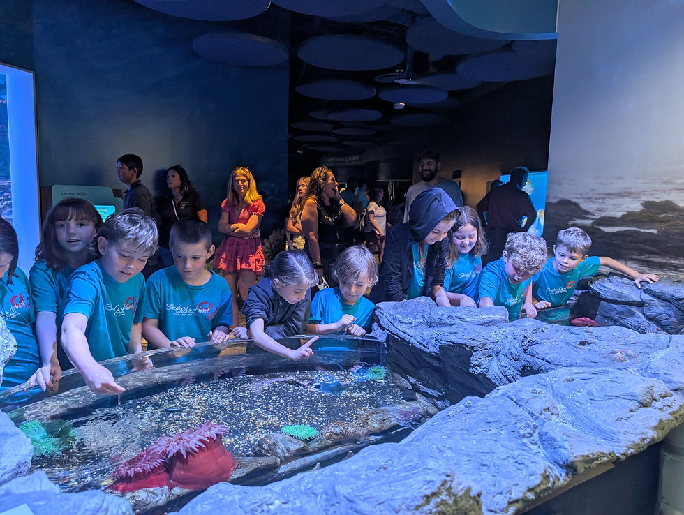 PXL_20260401_143407075.MP