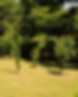 2018-06-29_11-51-06_DSC_4984.NEF.jpg