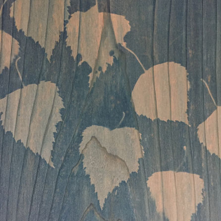 Part of an interpretation display at Low Barns Nature Reserve, Durham Wildlife Trust, Witton Le Wear