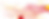 banner_viki.png