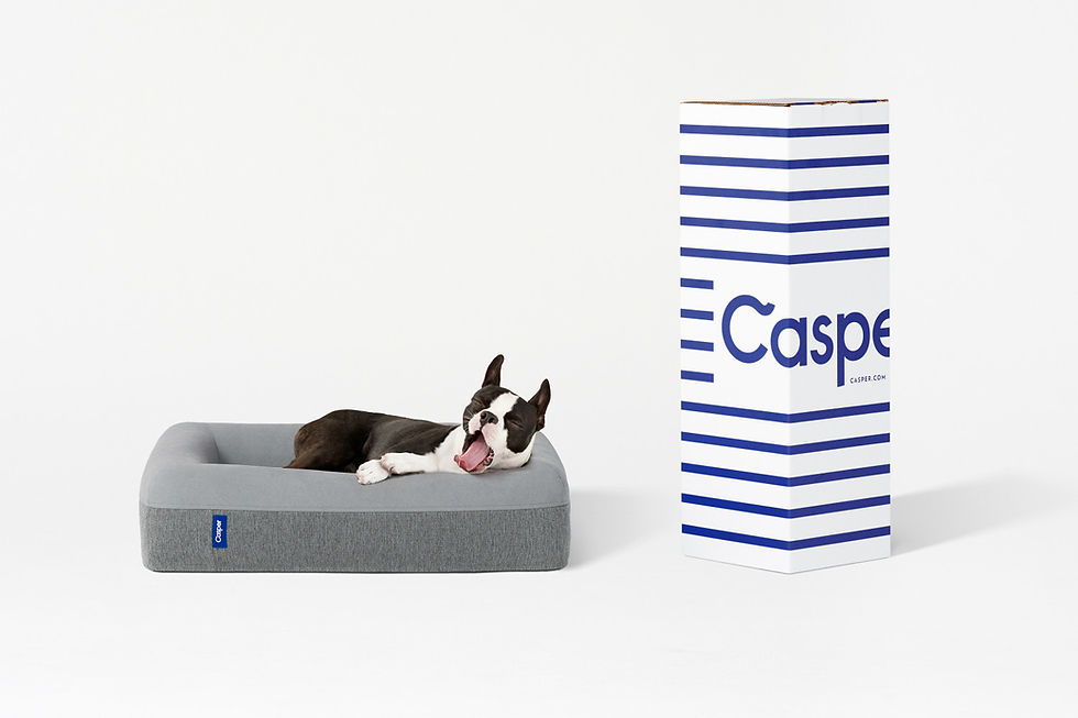 casper-dog-box-1500x1000.jpg