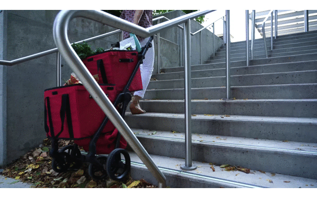 VOOMcart Dolly Mode Video