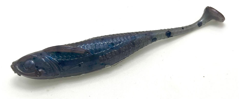 Thumbnail: 4" FFS Hover Glide Minnow