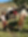 IMG_9206.jpeg