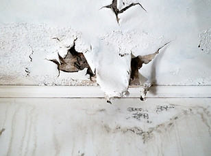 Dégât-des-eaux-au-plafond.jpg