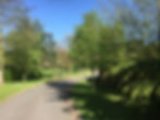 Site Drive