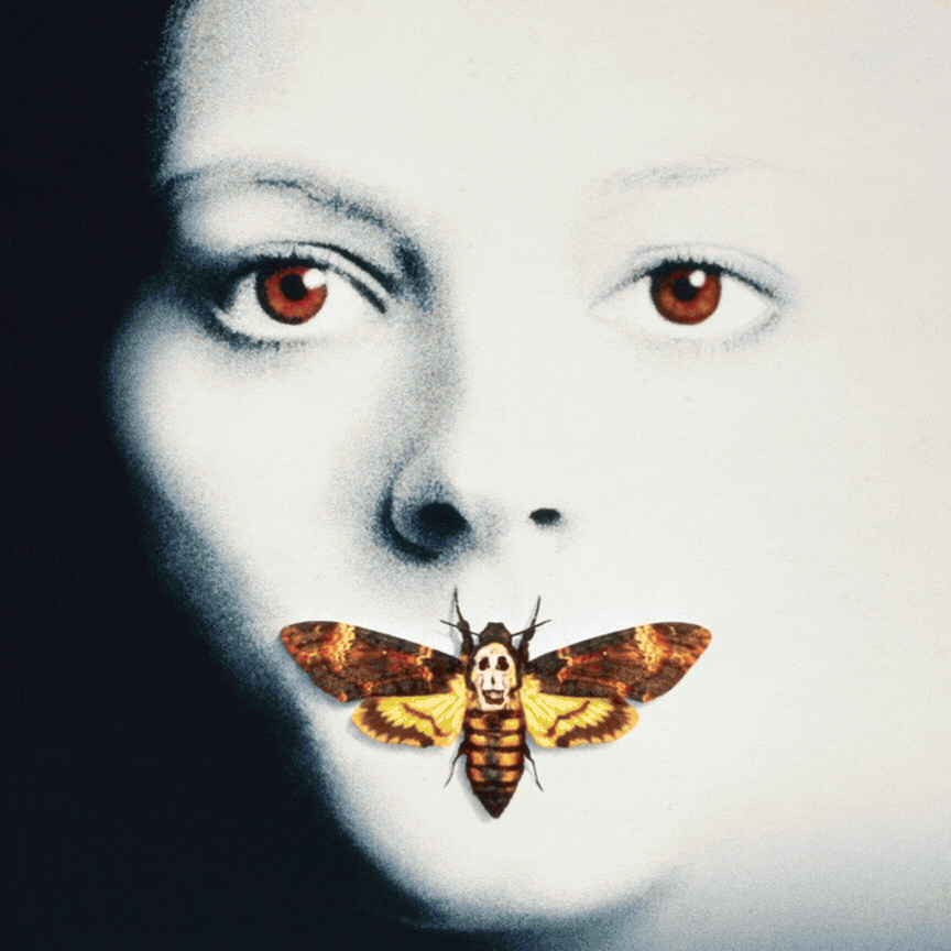 Curso de Historia maridu (2).gif