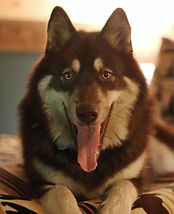 image3.jpeg