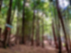Walk to the Cabins