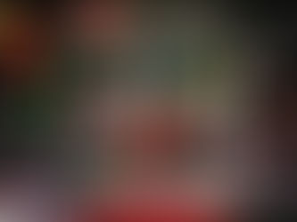 XTERRA Belgium Finisher