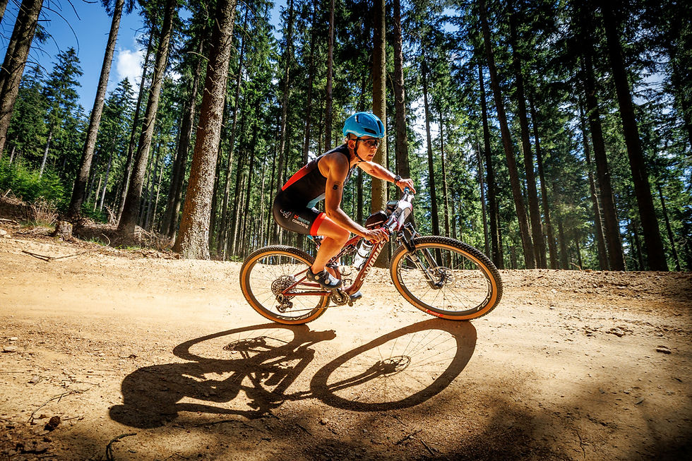 Mountain biker in a blue helmet rides a dirt trail through sunlit pine forest, casting a long shadow.