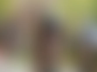 A triathlete on the bike