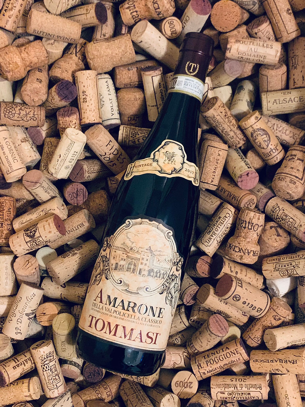 Tommasi Amarone della Valpolicella Classico 2017
